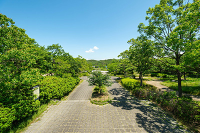 桃の木台中央公園