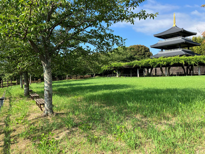 吉祥寺公園(三重塔展望台)