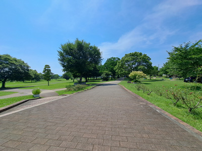 水前寺江津湖公園