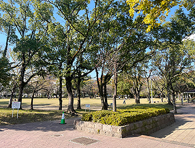 宮崎中央公園