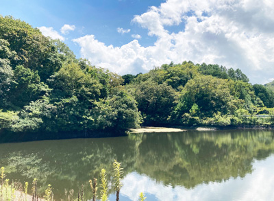 しらさぎ台自然公園