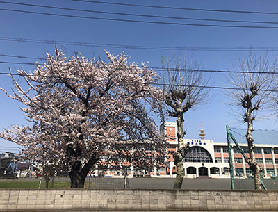 青森市立浦町小学校