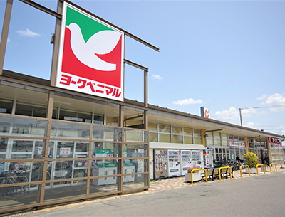 ヨークベニマルコスモス通り店