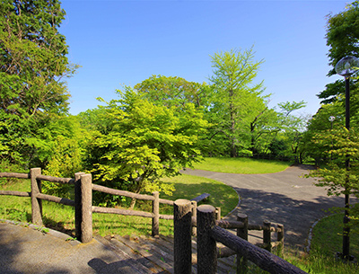 弁天山公園