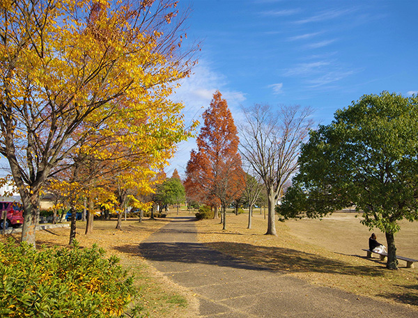 八山田公園