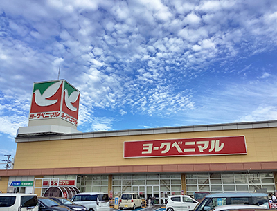 ヨークベニマル 遠見塚店