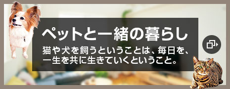 ペットと一緒の暮らし 猫や犬を飼うということは、毎日を、一生を共に生きていくということ。