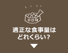 適正な食事量はどれくらい？