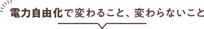 電力自由化で変わること、変わらないこと