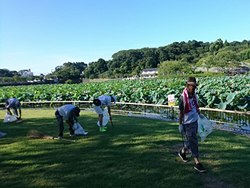 蓮花寺池公園の清掃活動