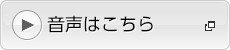 リンクボタン：決算概要説明（音声）