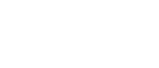 DIGITAL SHOWCASE