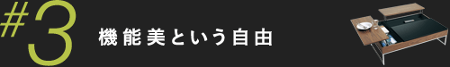 機能美という自由