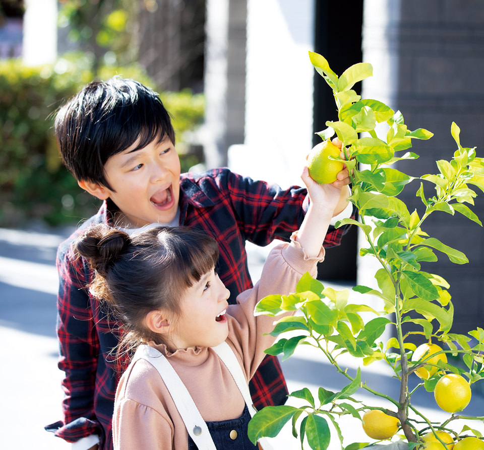 庭を活用するアイデア　「いえ（家）」と「にわ（庭）」で叶う潤いある毎日