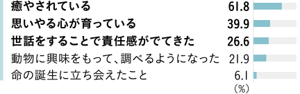 癒やされている 61.8％　思いやる心が育っている 39.9％　世話をすることで責任感がでてきた 26.6％　動物に興味をもって、調べるようになった 21.9％　命の誕生に立ち会えたこと 6.1％