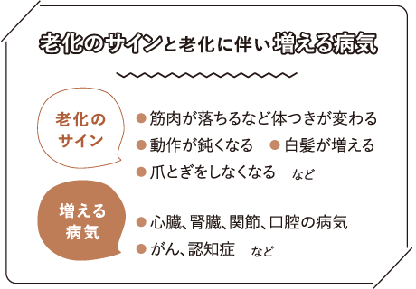 老化のサインと老化に伴い増える病気