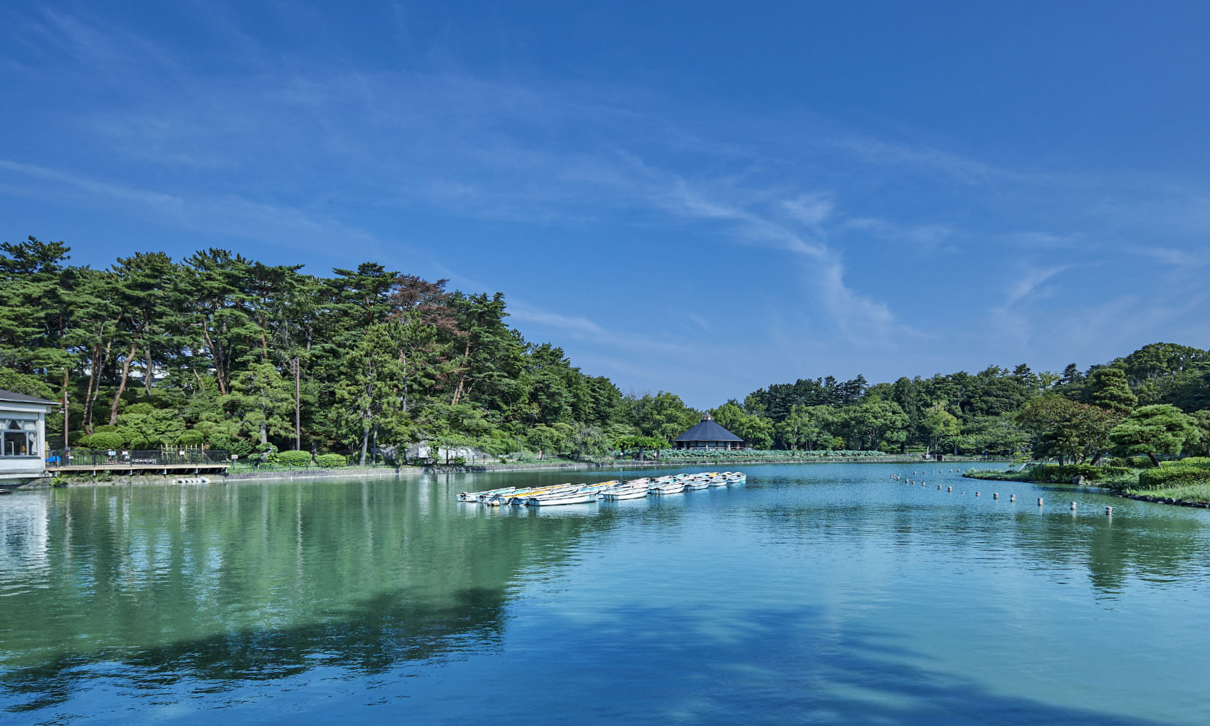 千葉公園（徒歩1分／約30m）