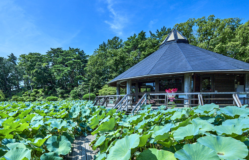 千葉公園（徒歩1分／約30m）