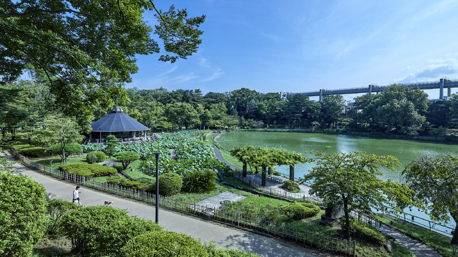 千葉公園（徒歩1分／約30m）