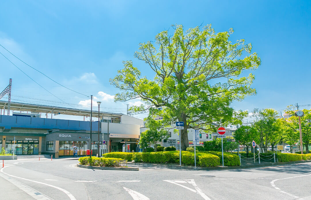 東武アーバンパークライン「新柏」駅（徒歩1分／約70m）