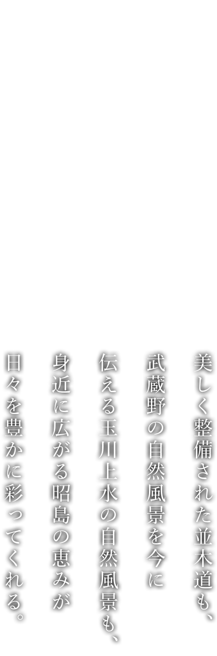 美しく整備された並木道も、武蔵野の自然風景を今に伝える玉川上水の自然風景も、身近に広がる昭島の恵みが日々を豊かに彩ってくれる。