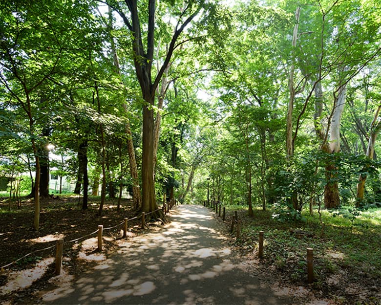 image photo：林試の森公園（約1,130m・徒歩15分）