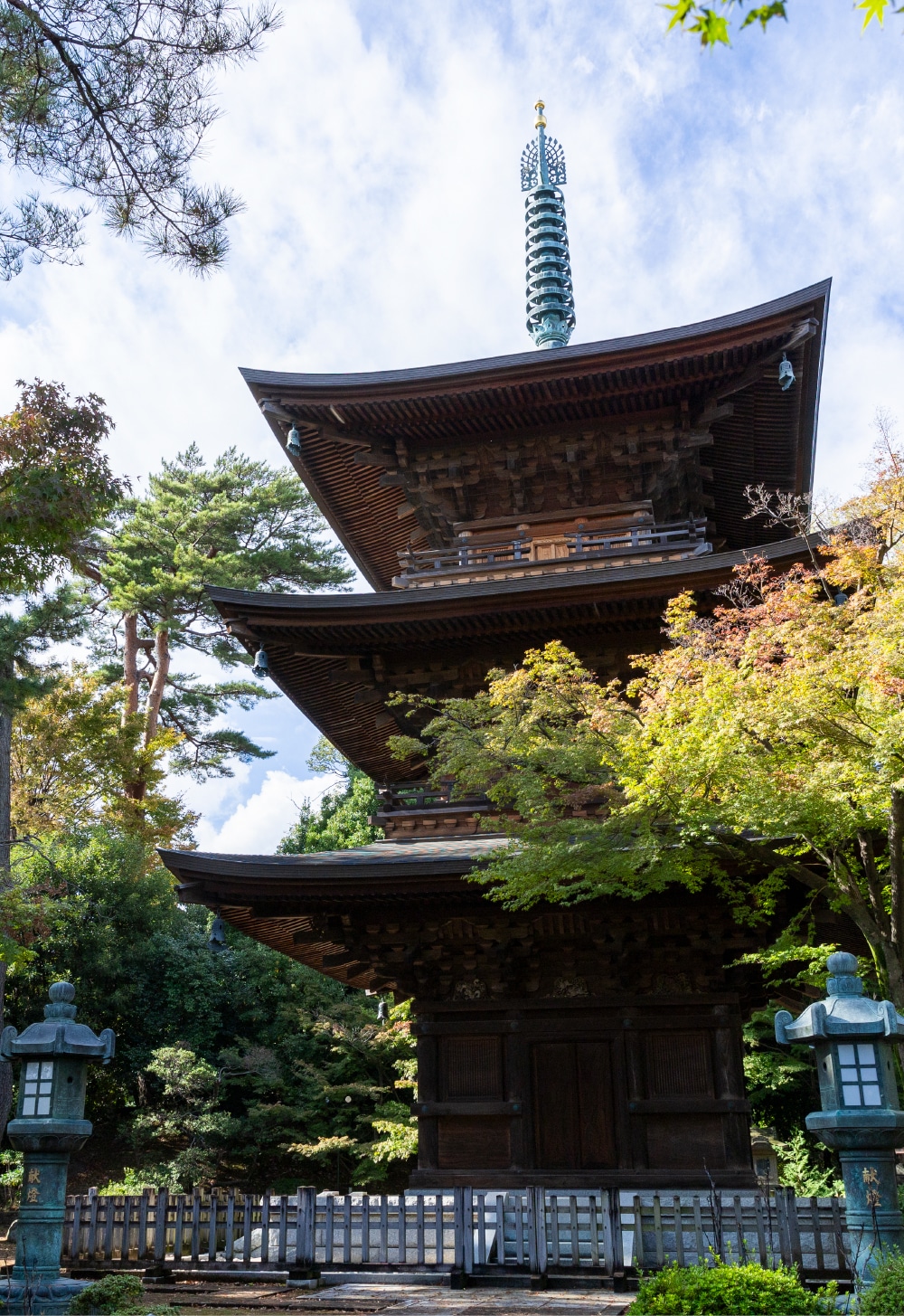 豪徳寺（約1,260m／徒歩16分）