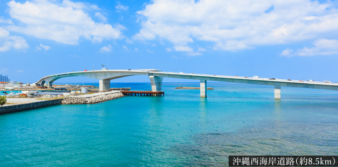 沖縄西海岸道路