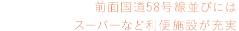 前面国道58号線並びにはスーパーなど利便施設が充実