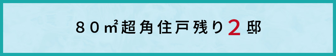 80㎡超角住戸残り2邸