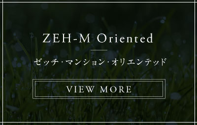 ZEH-M