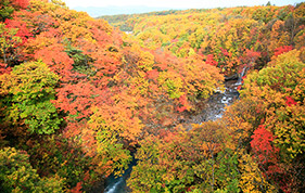 八幡平の紅葉