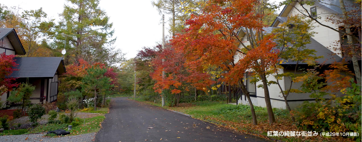 紅葉の綺麗な街並み（平成29年10月撮影）