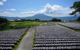 福山の黒酢壺畑