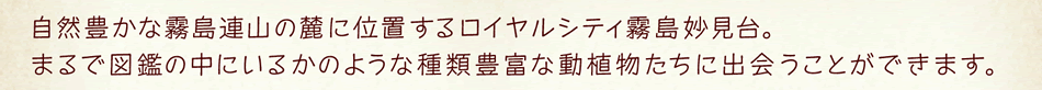 自然豊かな霧島連山の麓に位置するロイヤルシティ霧島妙見台。まるで図鑑の中にいるかのような種類豊富な動植物たちに出会うことができます。