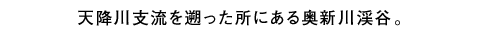 天降川支流を遡った所にある奥新川渓谷。