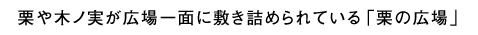 栗や木ノ実が広場一面に敷き詰められている「栗の広場」