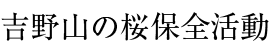 吉野山の桜保全活動