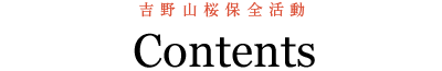 吉野山桜保全活動