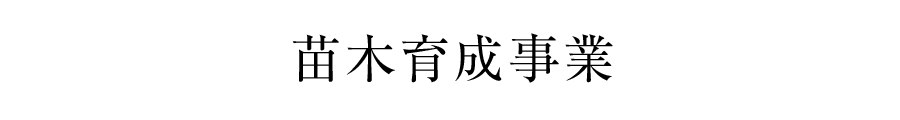 苗木育成事業