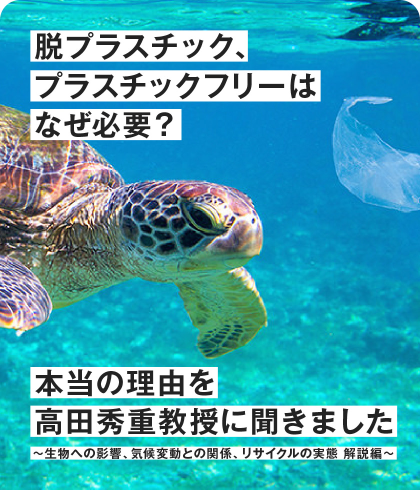 脱プラスチック、プラスチックフリーはなぜ必要？本当の理由を高田秀重教授に聞きました〜解説編〜