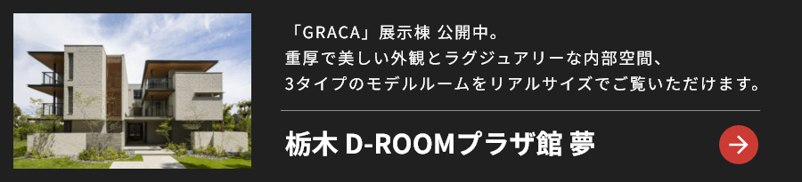 栃木 D-ROOMプラザ館 夢