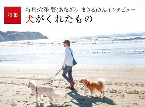 特集:穴澤 賢(あなざわ まさる)さんインタビュー 犬がくれたもの