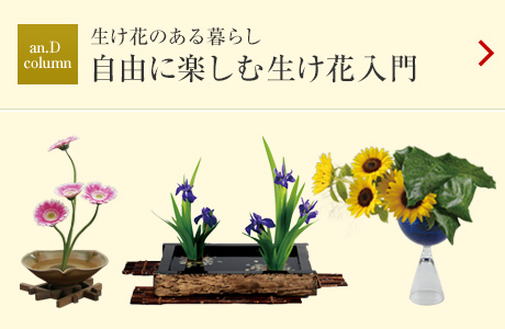 an.D column：生け花のある暮らし 自由に楽しむ生け花入門