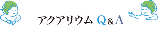 アクアリウム Q＆A