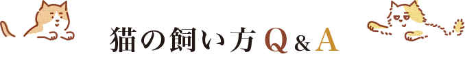 猫の飼い方 Q＆A