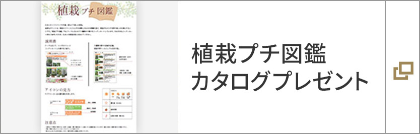 植栽プチ図鑑　カタログプレゼント