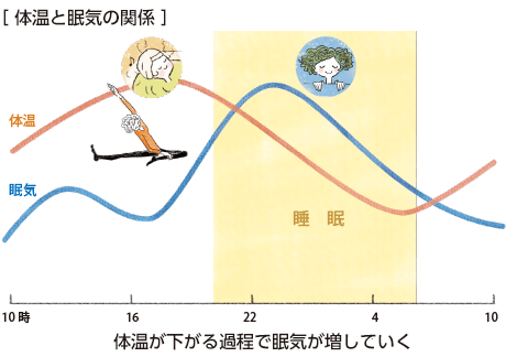 [体温と眠気の関係]体温が下がる過程で眠気が増していく