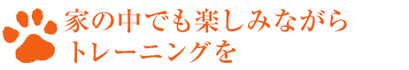 家の中でも楽しみながらトレーニングを