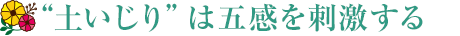 “土いじり”は五感を刺激する